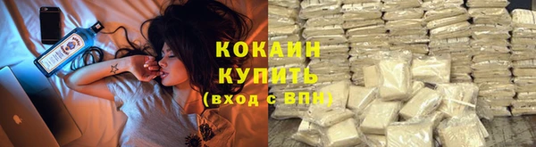 шишки Верея