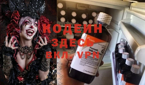 индика Богородск