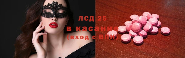 шишки Верея