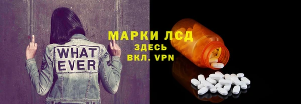 шишки Верея