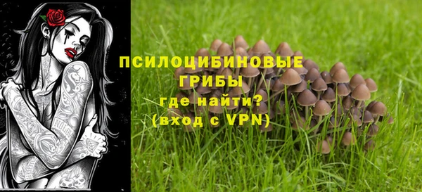 apvp Володарск