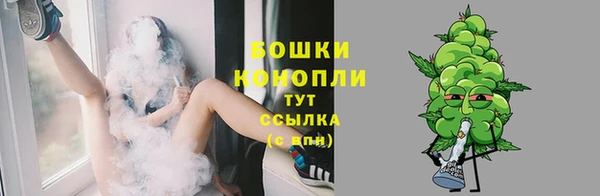 apvp Володарск