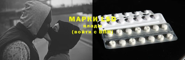 шишки Верея