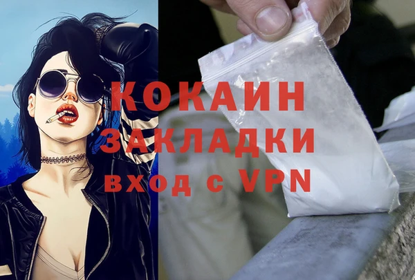 молекула духа Богородицк