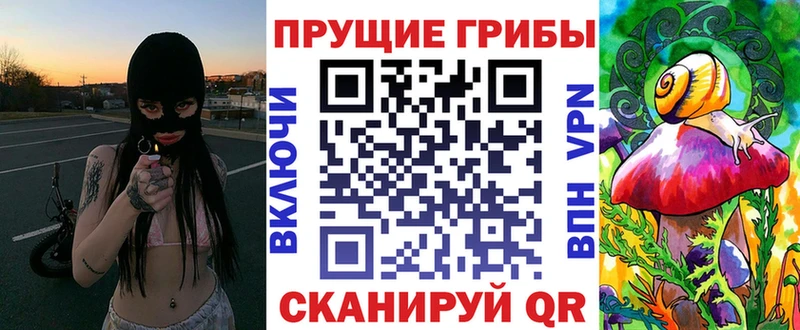 Галлюциногенные грибы GOLDEN TEACHER  blacksprut как зайти  Зеленогорск  купить  цена 